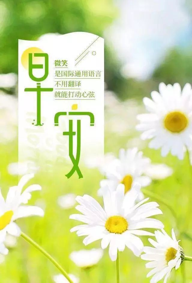 12月22日正能量早安心语励志句子 星期天激励早上好语句语录