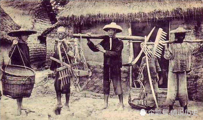 清朝晚期的农民