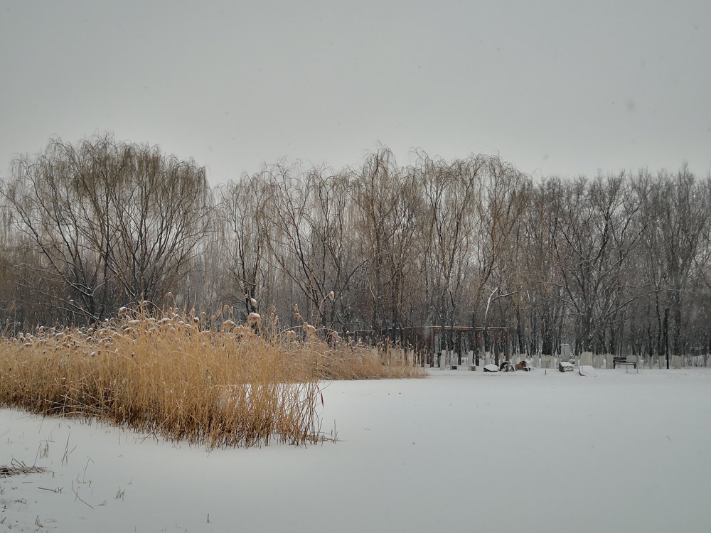 东北的冬天 与雪相伴 大地一片银白银装素裹