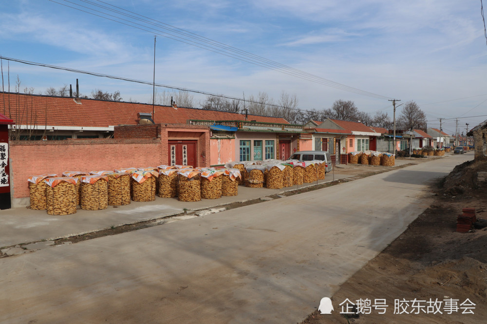 组图:胶莱河畔有个河套村,在青岛平度明村镇境内