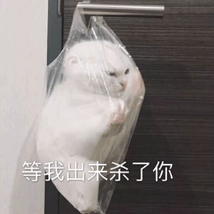 搞笑段子,开心一笑,开心一刻,,表情包动图,开心一下