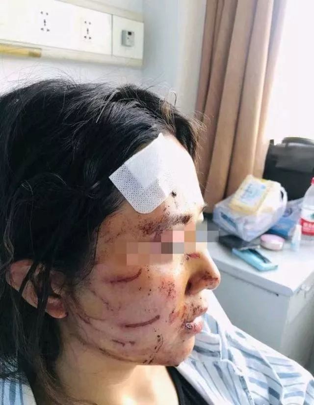 家庭暴力,茉莉,男友,丈夫,宇芽,渣男