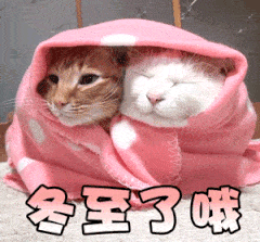 节气提示 进入冬至节气,气温逐步走低,天气日渐寒冷,要加强防寒保暖