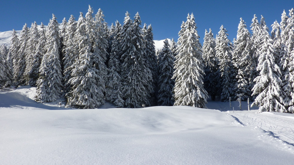 冬天雪景高清壁纸,秀美景色,十分壮观
