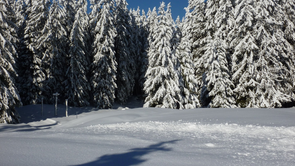 冬天雪景高清壁纸,秀美景色,十分壮观