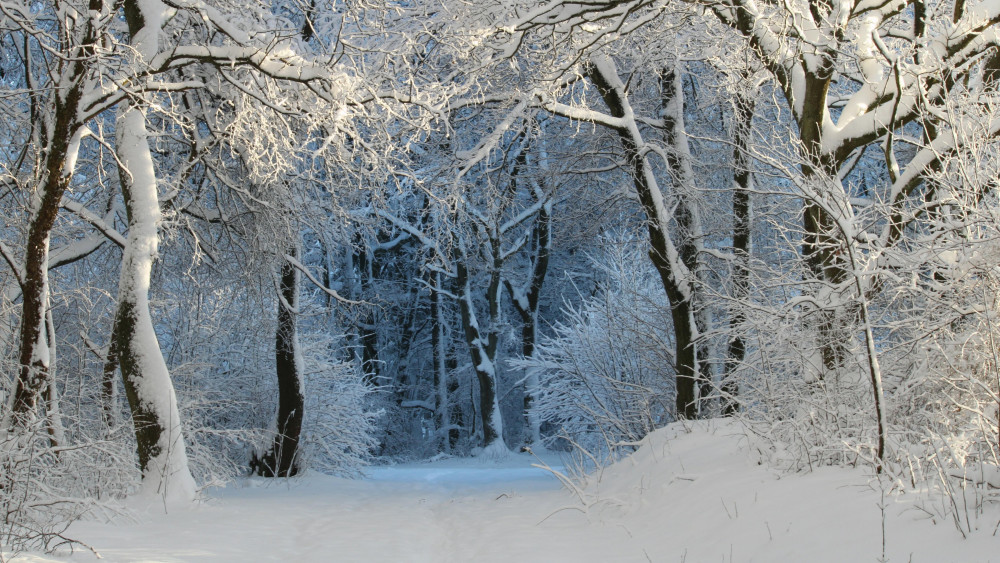 冬天雪景高清壁纸,秀美景色,十分壮观
