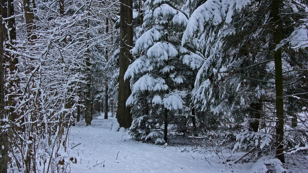 冬天雪景高清壁纸,秀美景色,十分壮观