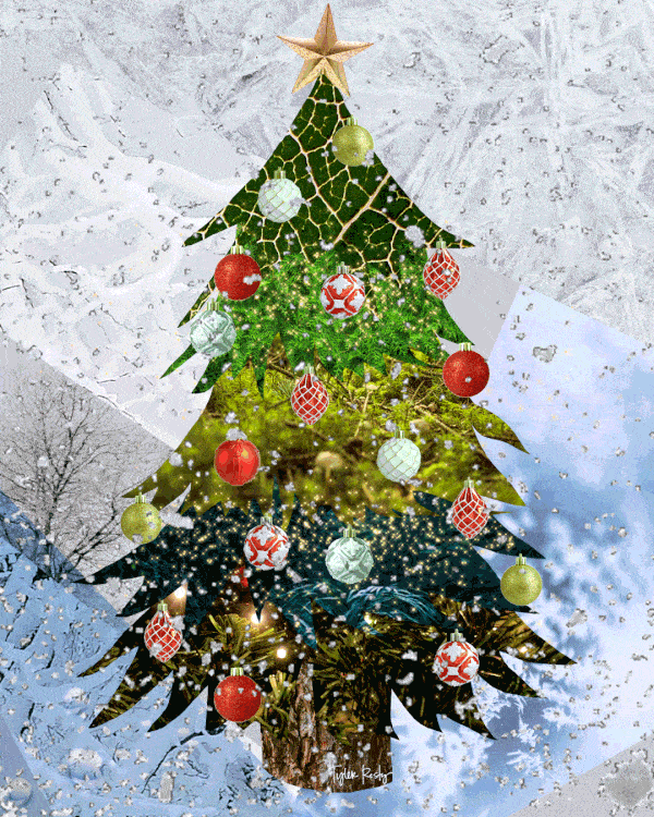 圣诞树表情包动图合集|星星变成圣诞树表情包