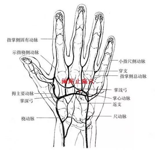 穴位:在手背第三,四掌骨间中后1/3凹陷处.