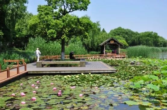 上海宁近郊游的选项中少不了它 闵行区 45座城市公园 是上海首个体育