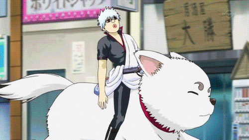 发了几个银魂小视频到抖音,真的记录了美好生活?