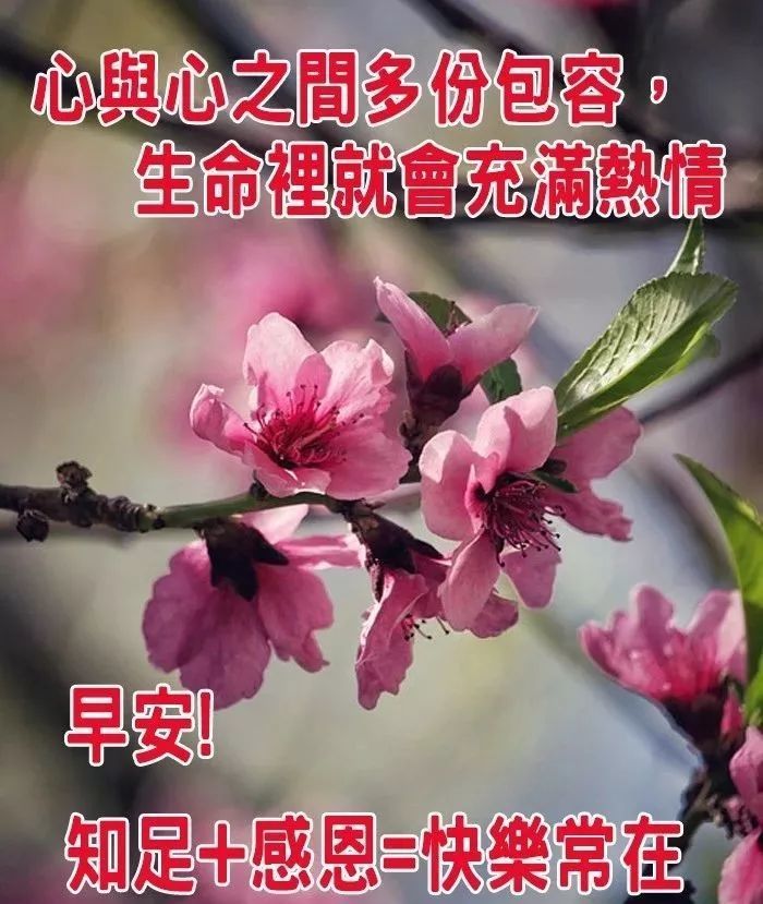 周二超级漂亮的早上好祝福雪人图片 冬天早安唯美祝福句子 清晨温暖