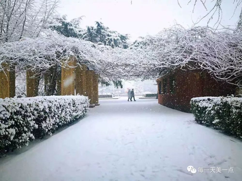 分享一组 @不可说 同学发来的大连雪景.