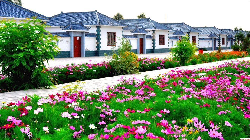 乡村振兴,中国金城传媒,一村一品,农产品质量安全,农村