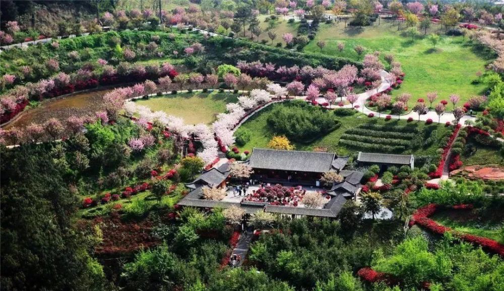 新津县,地铁,国家湿地公园,旅游景区,梨花溪,花舞人间