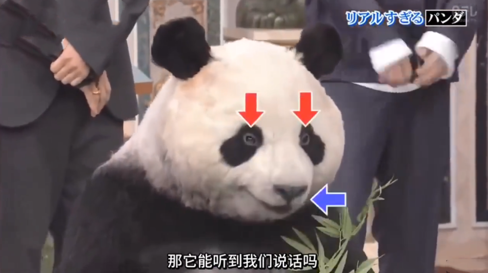 靠人扮大熊猫,疑惑:四川人出门