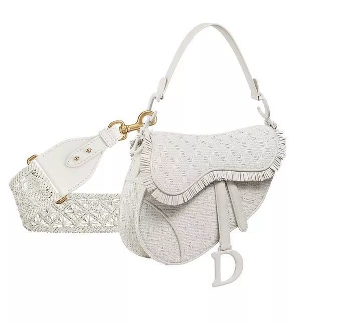 dior saddle 马鞍包