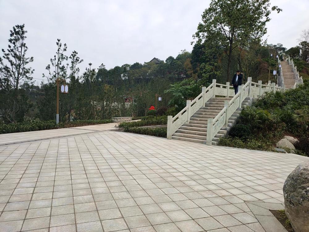 四川南充:舞凤山公园实拍,突然多个后花园,这些小区安逸了