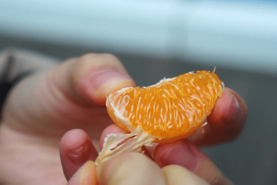 橘子品种那么多 哪一只最好吃?
