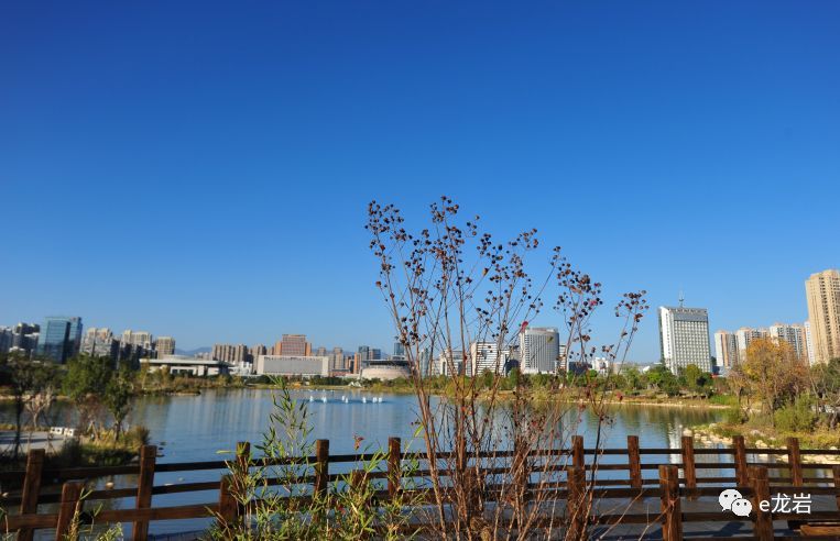 央媒"走进闽西":龙津湖公园,怎一个美字了得