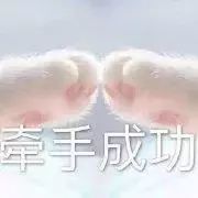 牵宝宝的手套路表情包:牵手成功,牵手失败