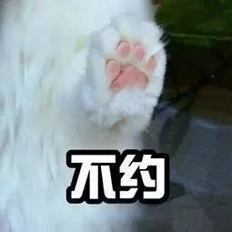 牵宝宝的手套路表情包:牵手成功,牵手失败