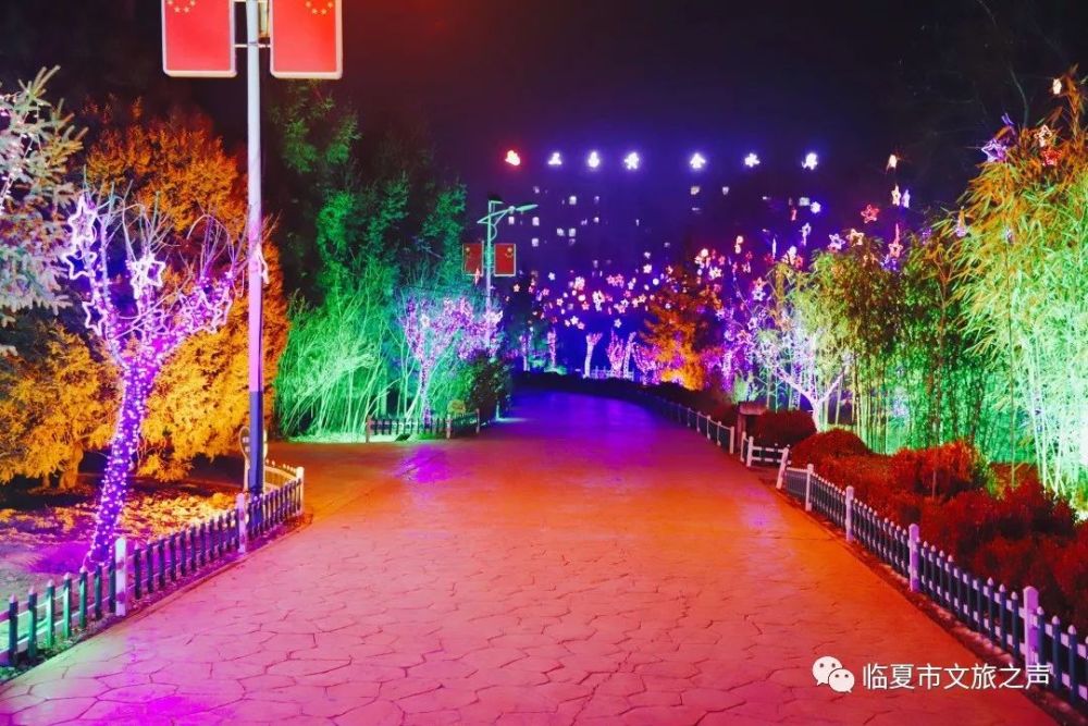 东郊公园,临夏市,灯会