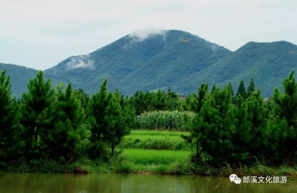 伍员山