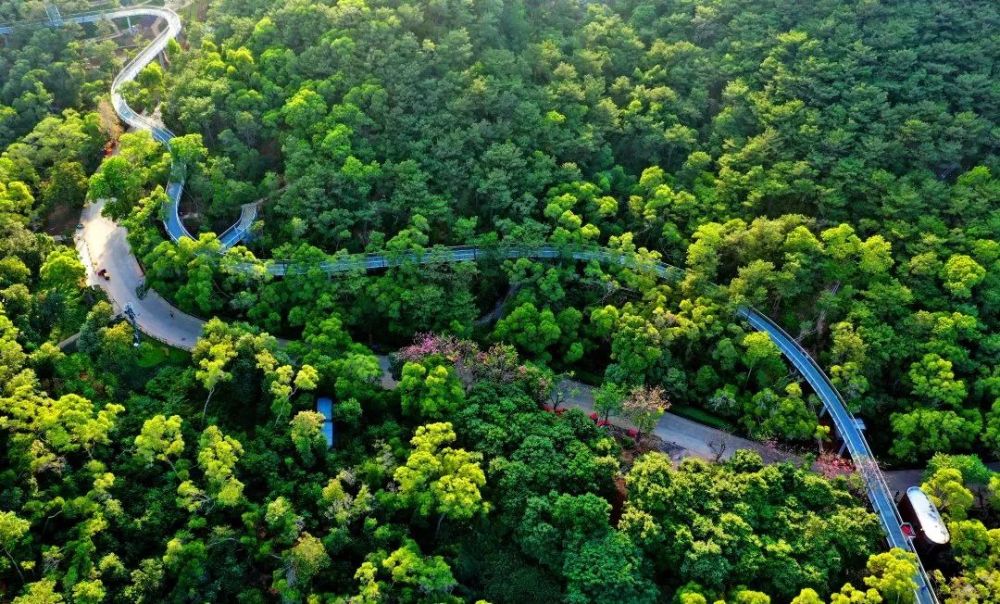 厦门山海健康步道开放在即,请收好这份出行