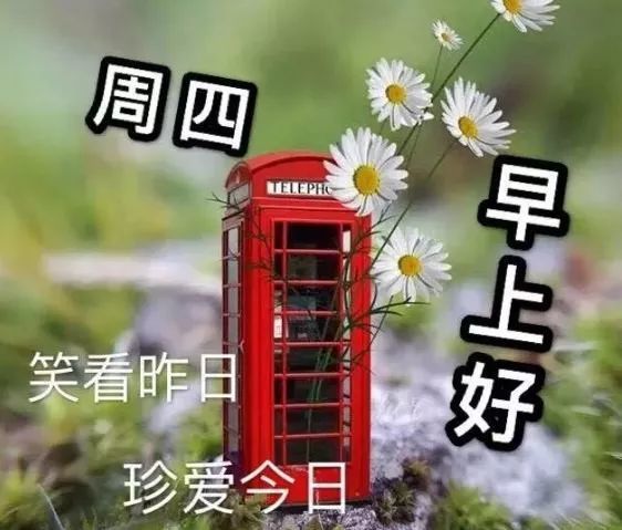 星期四最新漂亮早上好动态美图鲜花带字,腊月早晨好幸福暖心的问候