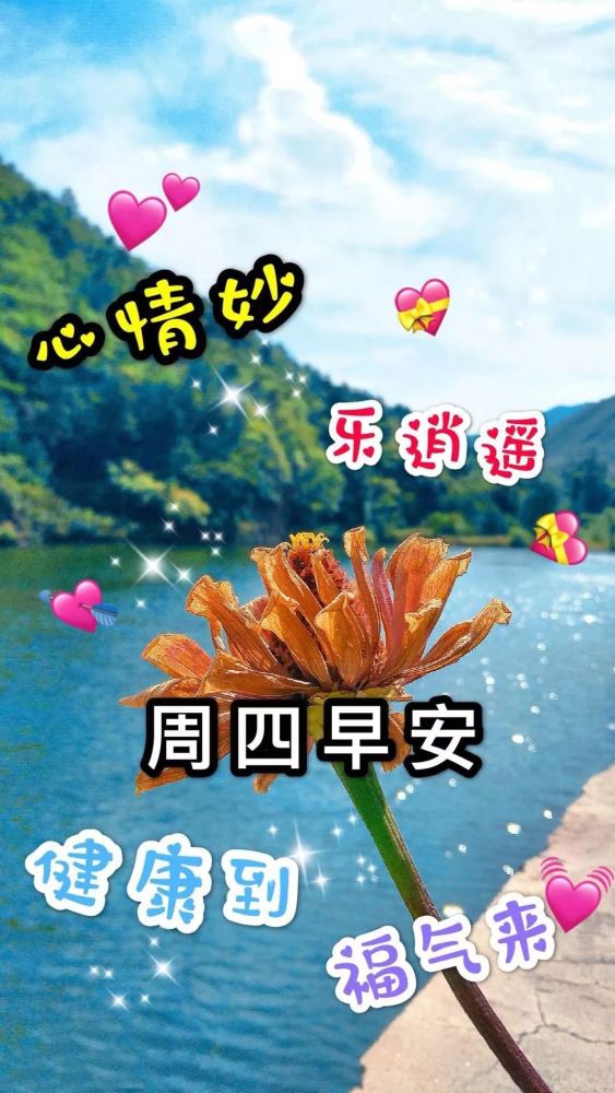 新的一年早上好问候语唯美句子 2020早上好图片祝福表情大全