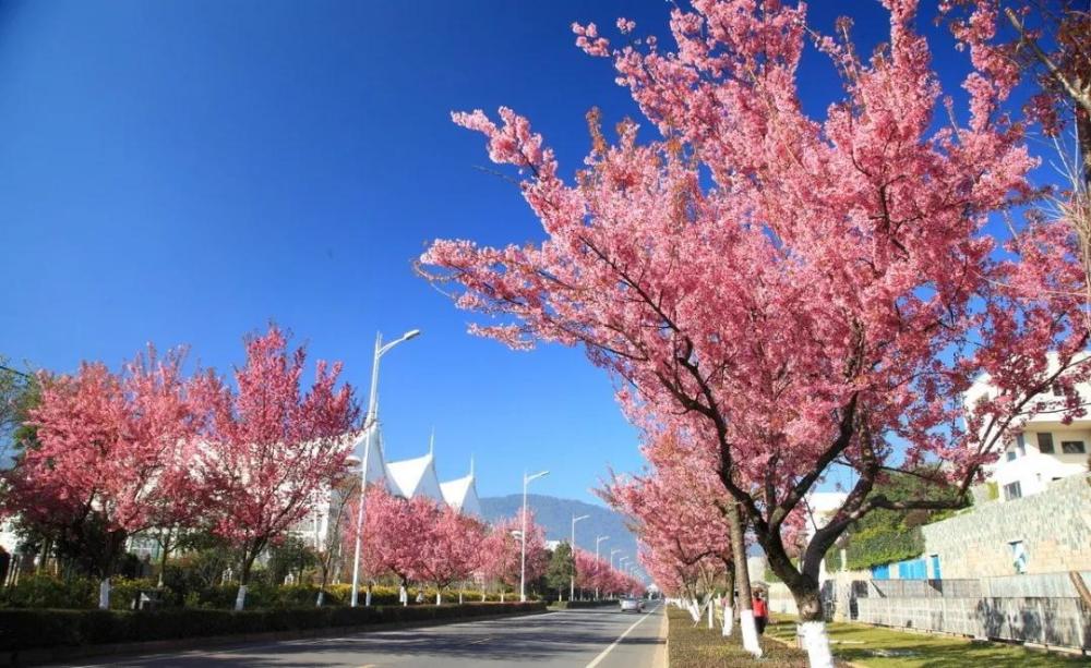 西华园位于昆明城西,是一处闹中取静的白族建筑园林公园