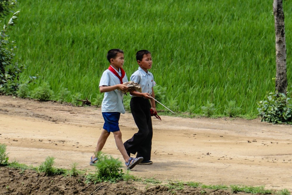 图为朝鲜农村地区,两名小男孩并肩走在路上.路旁是碧绿的稻田.