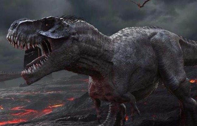 恐龙,霸王龙,恐龙时代,白垩纪中期到白,鲨齿龙