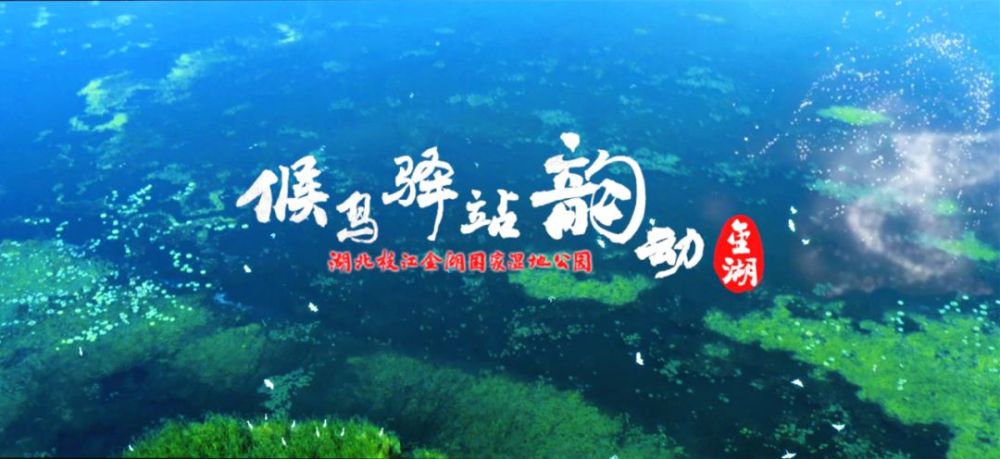 枝江金湖国家湿地公园于2014年12月经国家批准开展试点建设.
