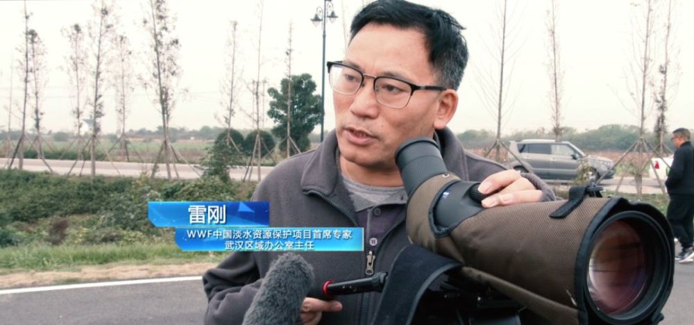 大美金湖!正式成为"国家湿地公园"