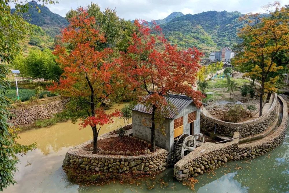胡村 腾讯网