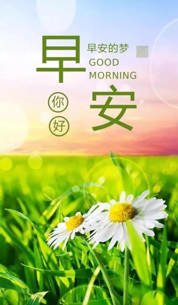 12月27早上好正能量很火的一段话