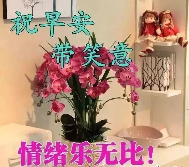 最新最美早上好祝福动图大全,早上好祝福图片带子