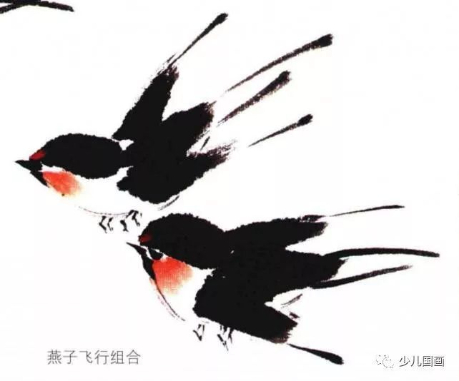 中国画入门 花鸟篇:燕子画法