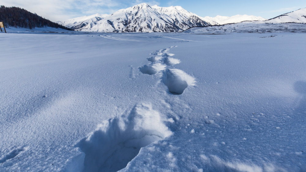 大自然雪景高清壁纸,最迷人的浪漫雪景