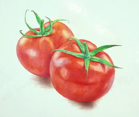 6个步骤教会彩铅画法西红柿