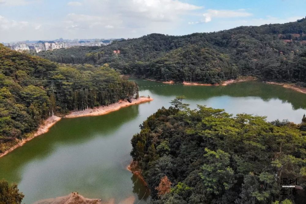 深圳终于有"免费玻璃栈道"!竹林秘境,水库溪谷……18个景点