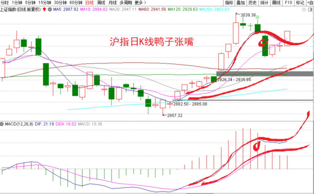日线macd鸭子张嘴,后市会有大幅拉升行情