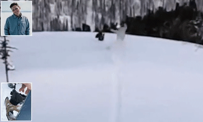松鸡被泼一身雪认为遭
