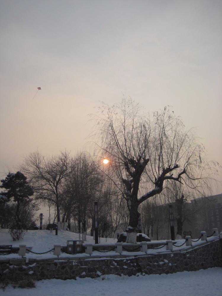 长春随拍——长春雪后的美丽雪景