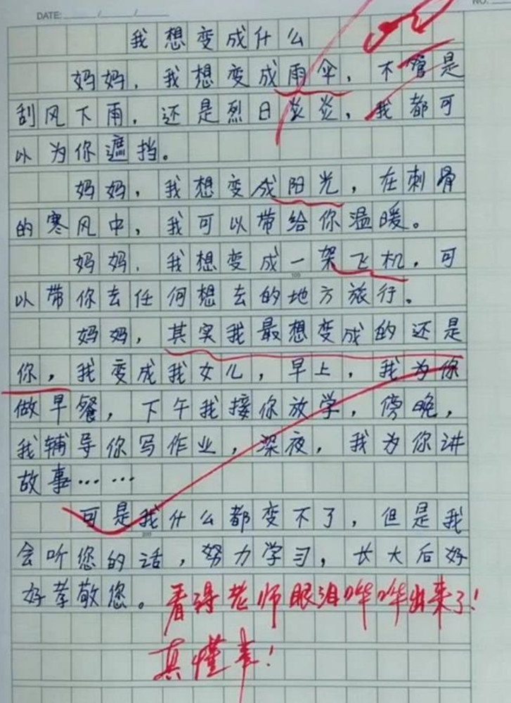 小学语文作文教案怎么写_写孔雀的作文300字 三年级作文小学作文 作文