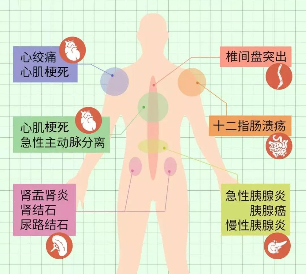 但应该注意的是,人体背部包覆了许多脏器以及神经,如果背部突发性地