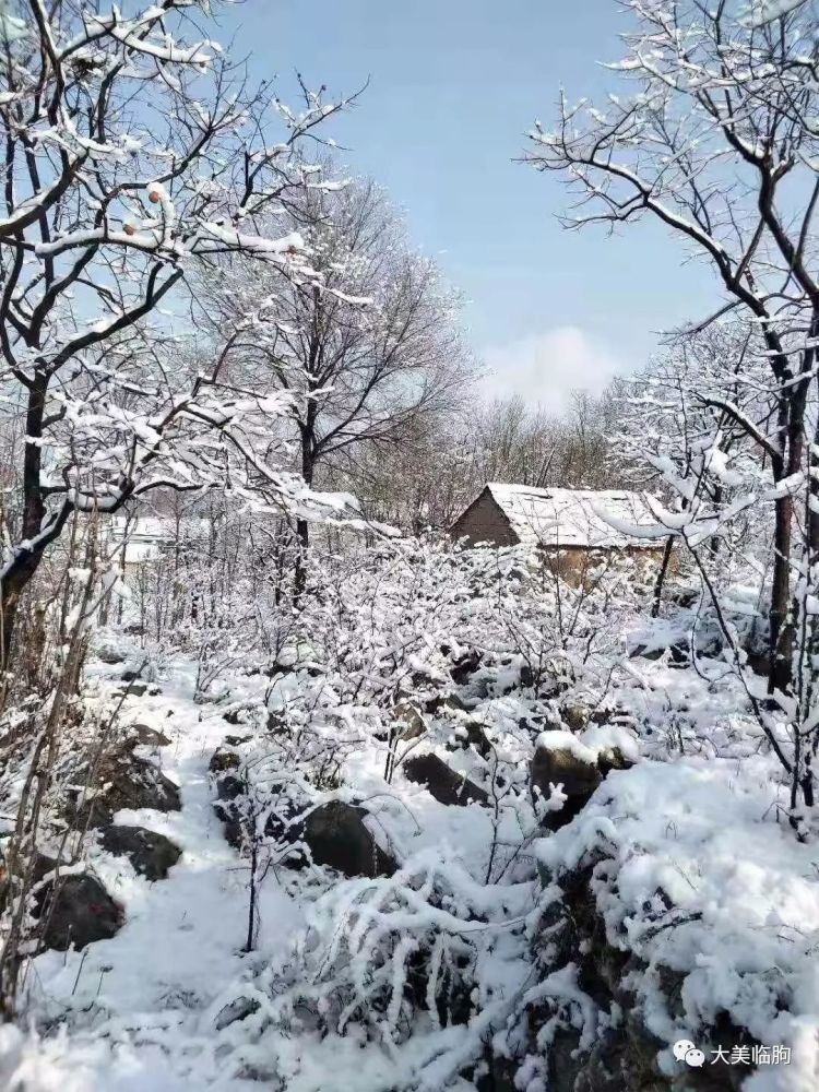 临朐县,玉奎,冶源镇,山村,雪景