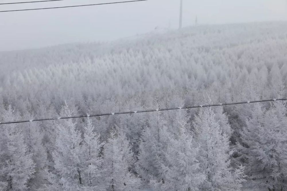 雪后的"黑白世界",好想置身其中